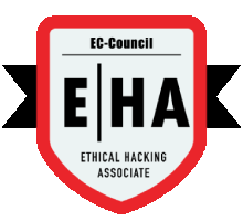 Ethical Hacking Training in fujairah