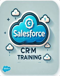 SalesForce Training in al ain