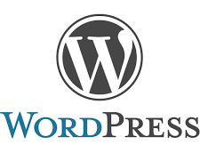 Wordpress Training in fujairah
